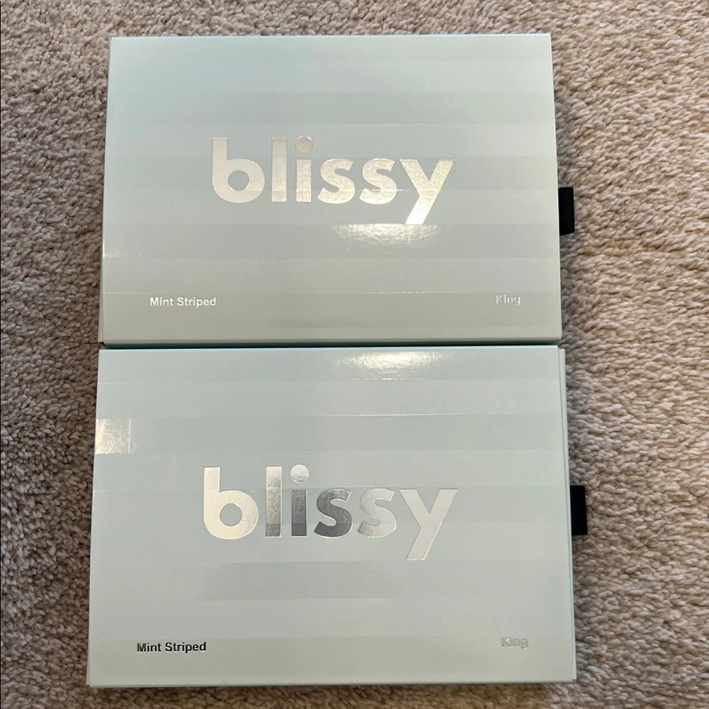 Blissy Mint Green 2 Striped King Size Pillowcases - Picture 2 of 7